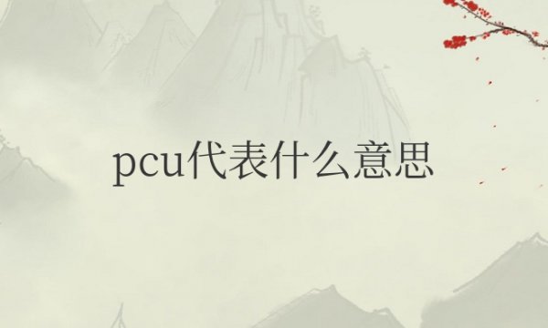 汽车pcu是什么意思的缩写