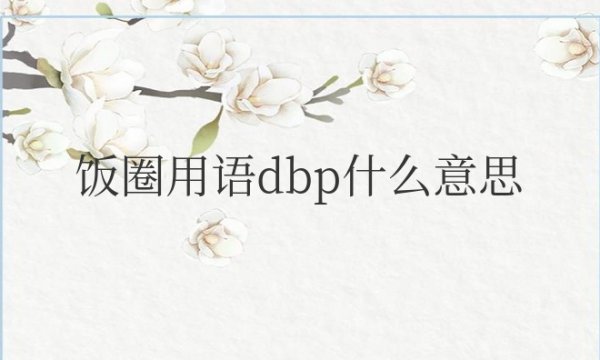 饭圈用语dbp什么意思