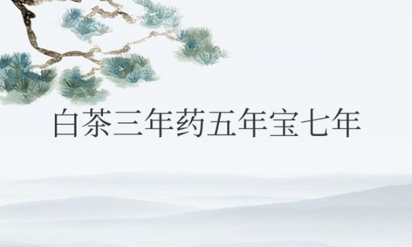 白茶三年药五年宝七年是饼茶吗