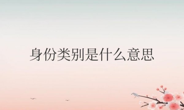 身份类别是什么意思怎么填写