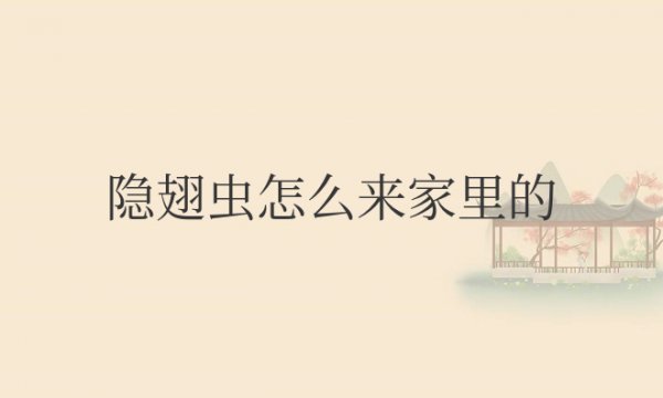 隐翅虫怎么来家里的？怎么会在家里出现？