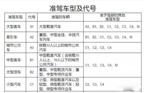 考b2驾照需要什么条件年龄多少