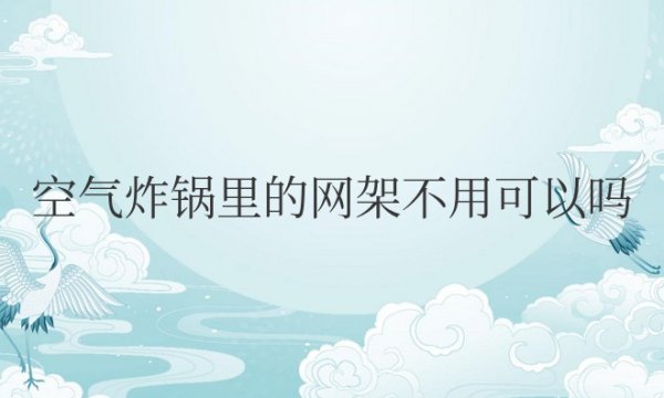 空气炸锅里的网架不用可以吗