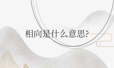 数学路程问题的相向是什么意思