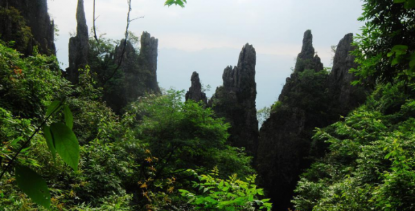 贵州遵义市道真县旅游景点有哪些好玩的