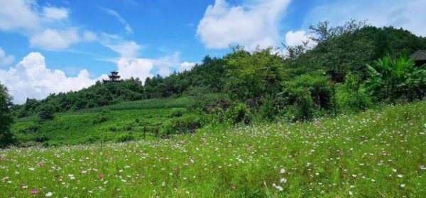 贵州遵义市道真县旅游景点有哪些好玩的