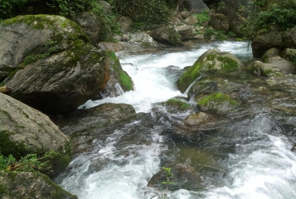 贵州遵义市道真县旅游景点有哪些好玩的