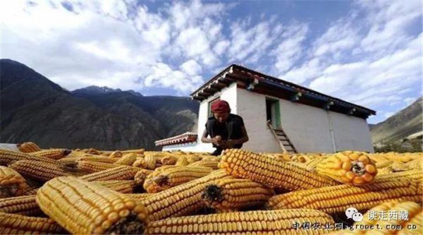 芒康海拔多少米高