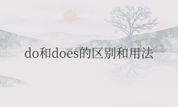 do和does的区别和用法