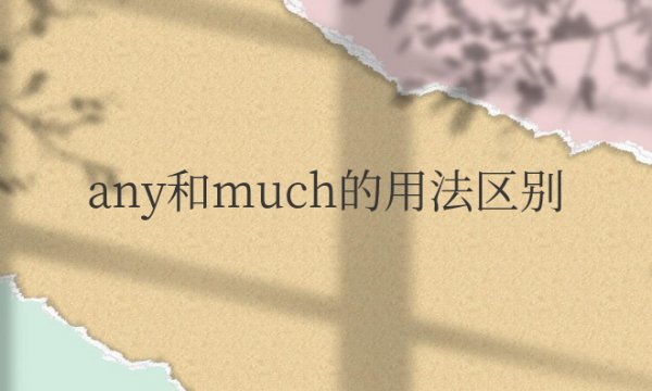 any和much的用法区别