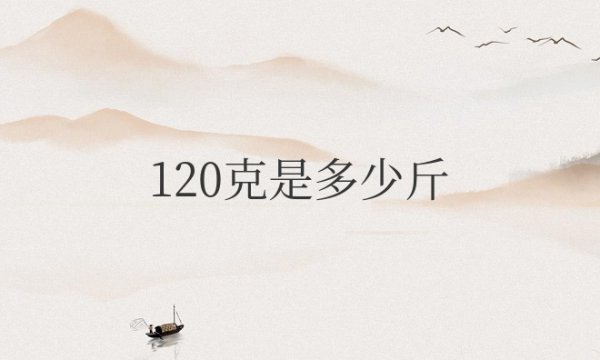 120克是多少斤