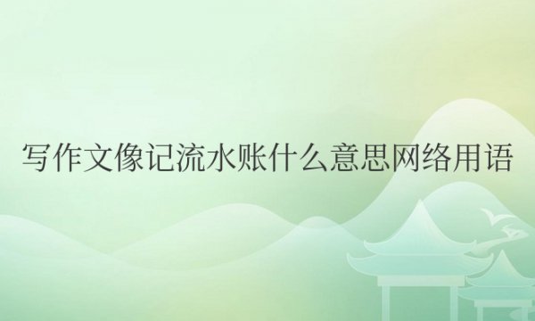 写作文像记流水账什么意思网络用语