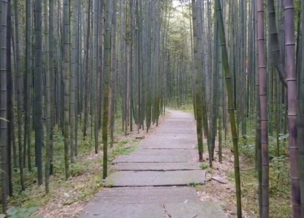 湖北枣阳有什么好玩的景点介绍一下