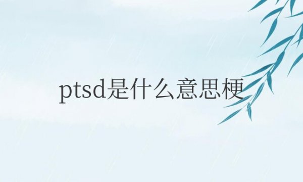 ptsd是什么意思梗