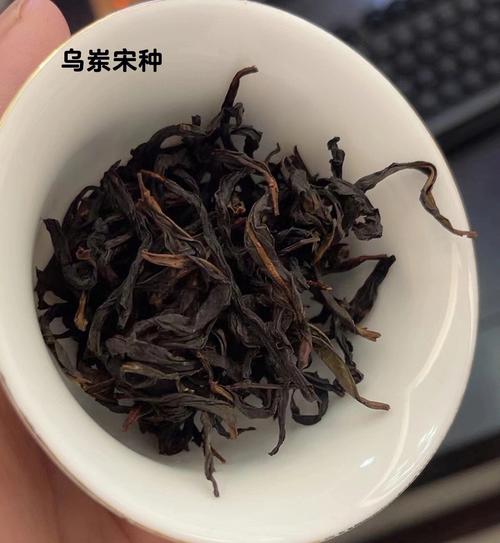 单丛茶是什么茶类