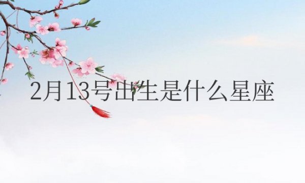 阳历2月13号出生是什么星座