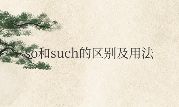 so和such的区别及用法