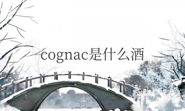 轩尼诗cognac是什么酒值钱吗