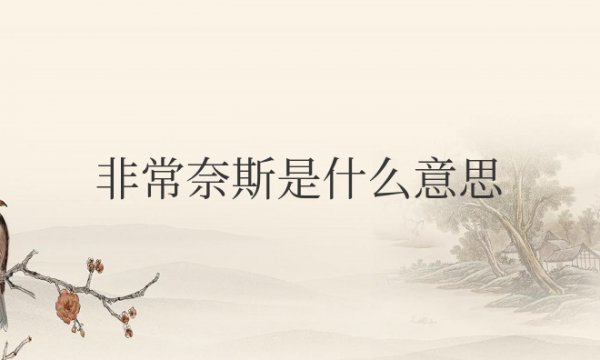 非常奈斯是什么意思