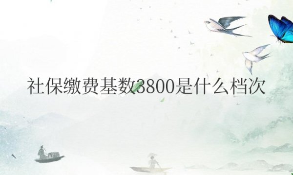 社保缴费基数3800是什么档次