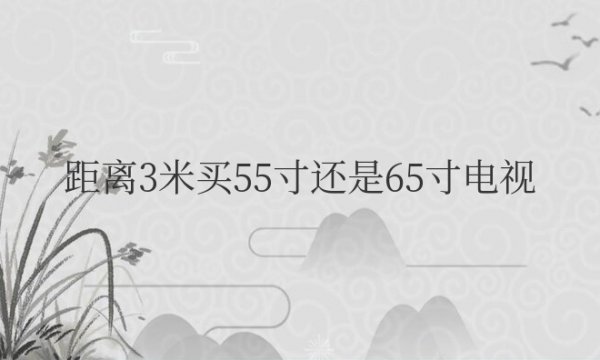 客厅观看距离3米买55寸还是65寸电视