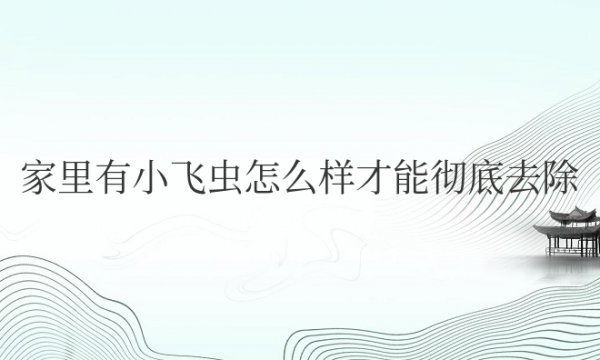 家里有小飞虫怎么样才能彻底去除