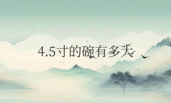 4.5寸的碗有多大容量