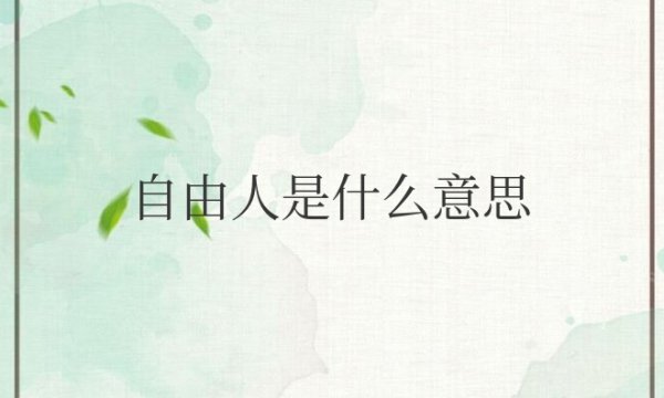 排球里面的自由人是什么意思