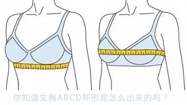 内衣abcd罩杯怎么区分大小