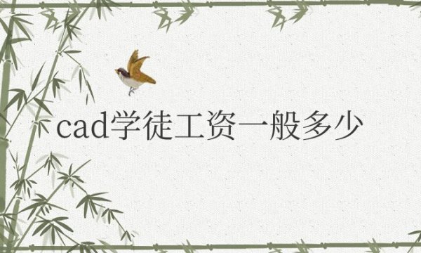 cad学徒工资一般多少钱一个月