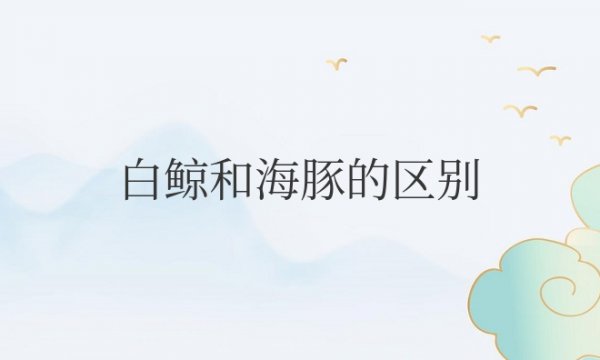 白鲸和海豚的区别是什么