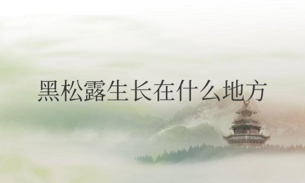 黑松露生长在什么地方最多