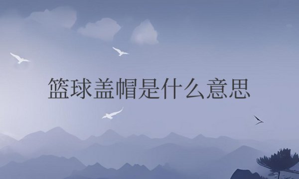 篮球盖帽是什么意思