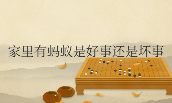 家里有蚂蚁是好事还是坏事？怎么破解？