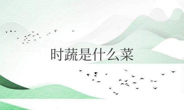 清炒时蔬的时蔬是什么菜