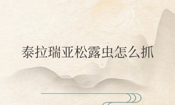 泰拉瑞亚松露虫怎么抓