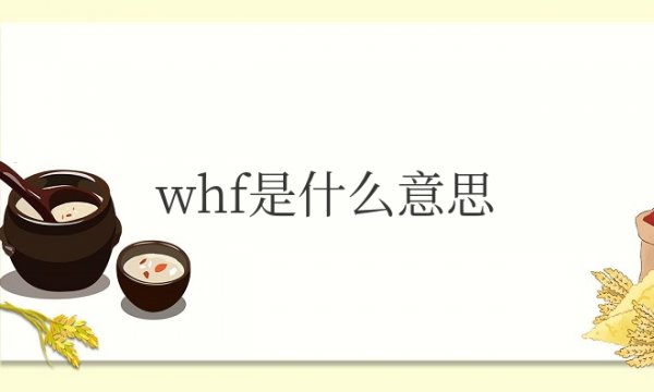 网络whf是什么意思