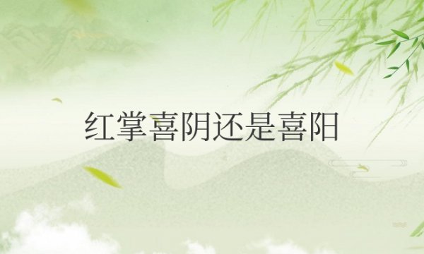 红掌喜阴还是喜阳光好养？多久浇一次水？