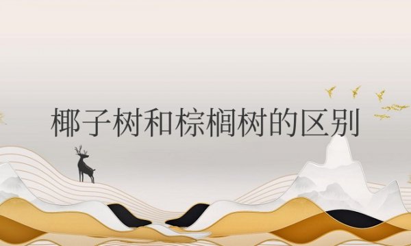 椰子树和棕榈树的区别是什么