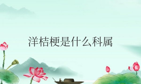 洋桔梗是什么科属