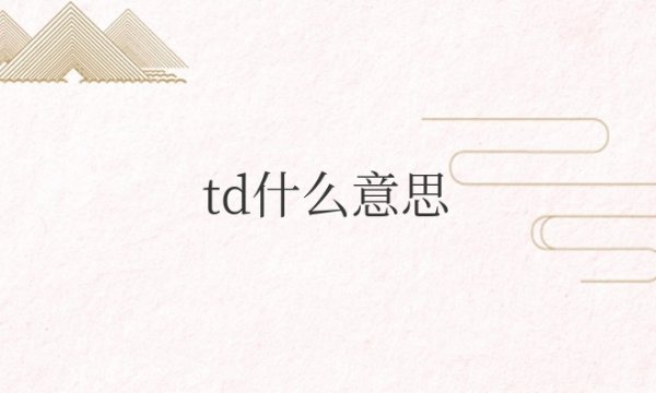 TD是什么意思网络用语