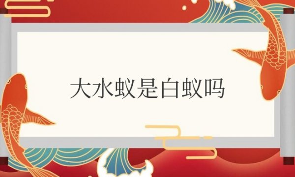 大水蚁是白蚁吗？为什么趋光性强？