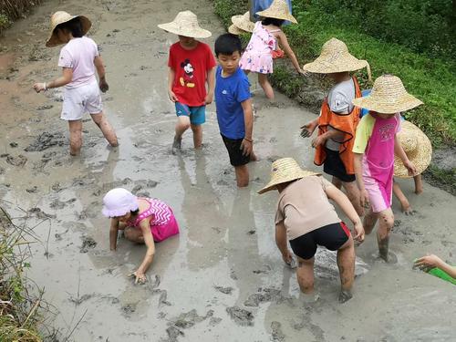 抓泥鳅用什么方法最好