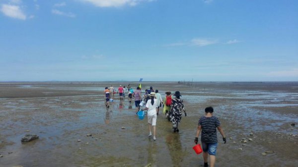 宁波赶海的好地方在哪里