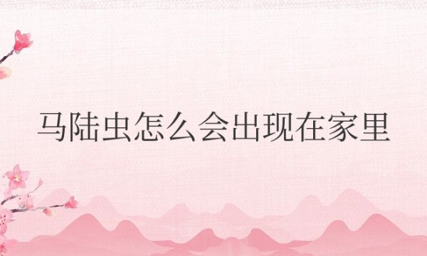 马陆虫怎么会出现在家里