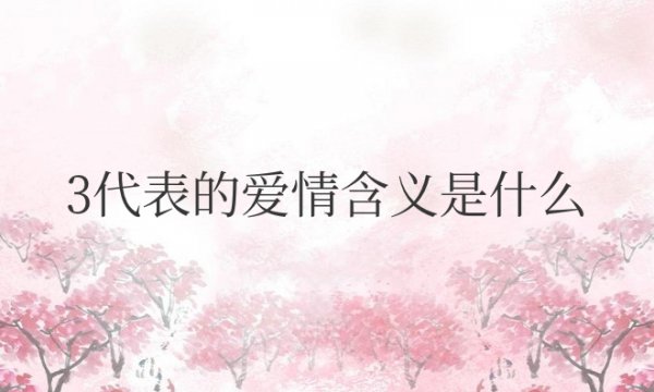 3代表的爱情含义是什么意思