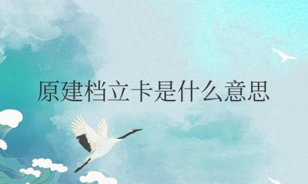 学生原建档立卡是什么意思