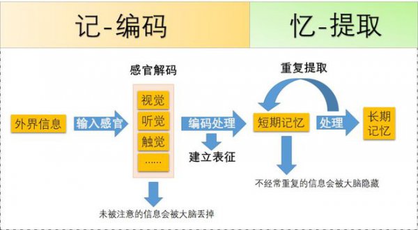 记忆过程包括哪几个环节