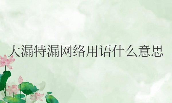 大漏特漏网络用语什么意思