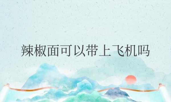 贵州辣椒面可以带上飞机不托运吗